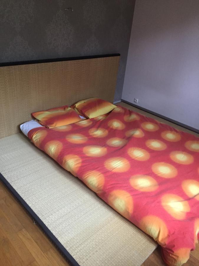 Chambre Double Futon Et Chambre Classique Au Coeur Du Vercors Saint-Agnan-en-Vercors Luaran gambar